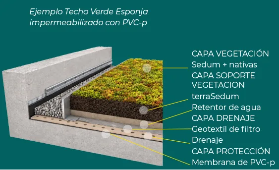 Esquema Techo Verde Extensivo