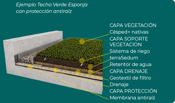 Esquema Techo Verde Semiintensivo