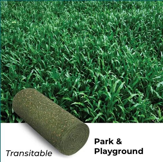 Park & Playground