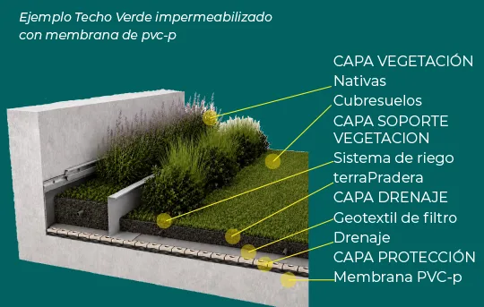 Esquema Techo Verde Intensivo