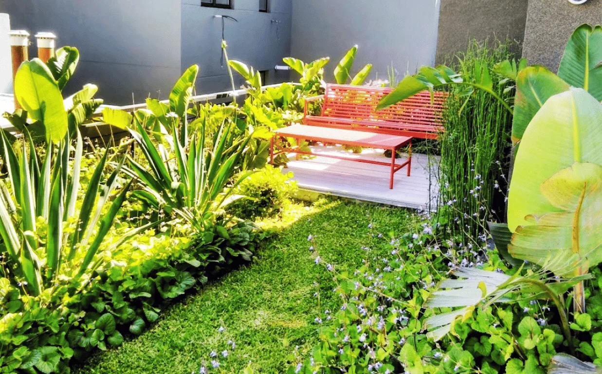 Vicente López - Buenos Aires - Jardín sobre cemento