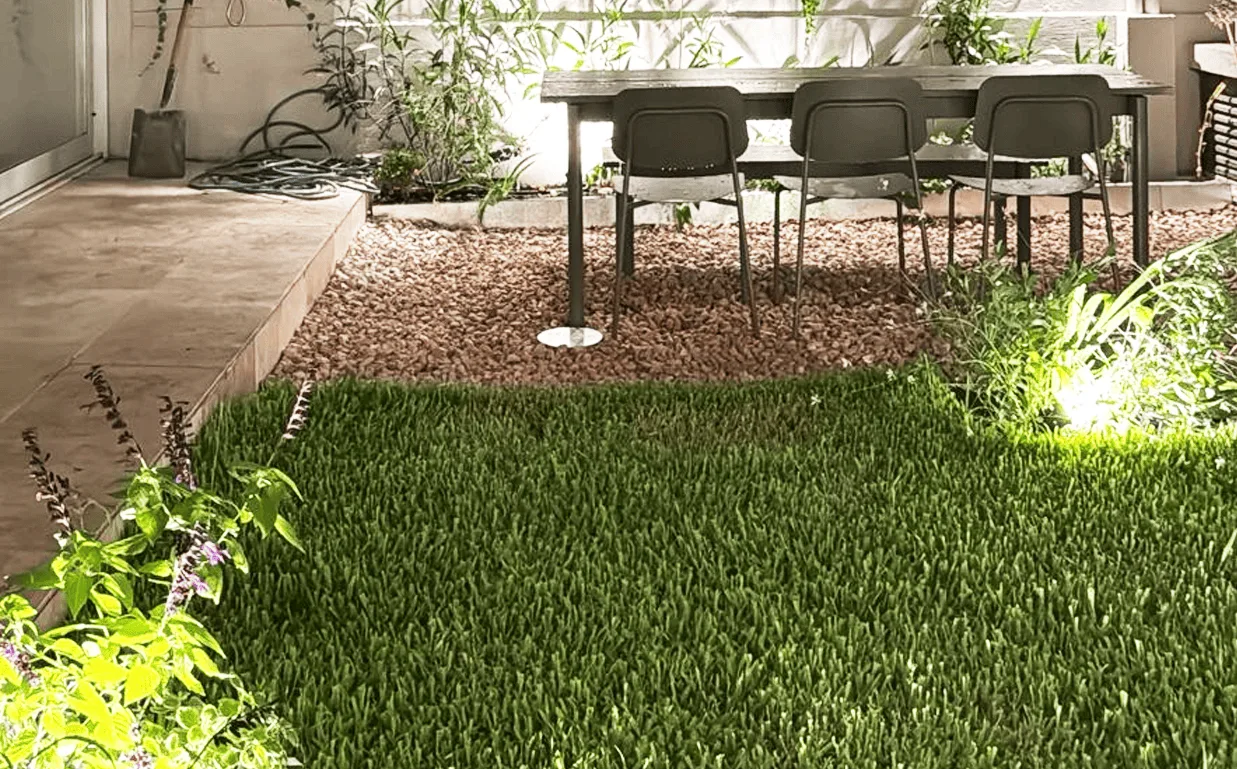 Semitensivo /120 Grama